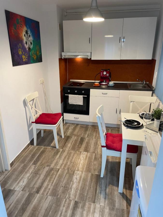 Kreation Rainbow Appartamento Cluj-Napoca Esterno foto